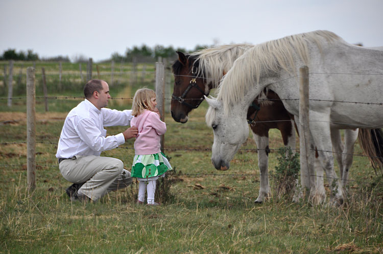 Meeting the horses 2
